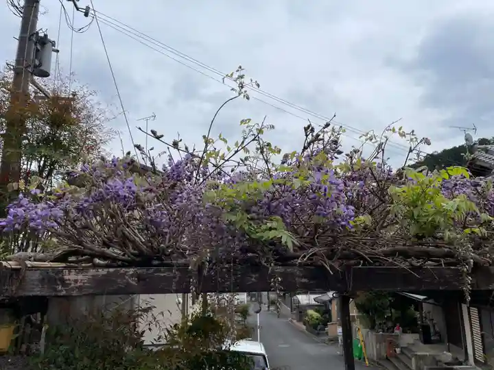 不思議不動院(京都府)