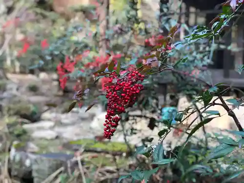 木舟山　順教寺の自然