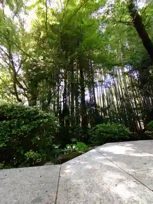 大正寺(東京都)