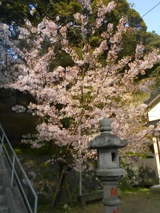 甘縄神明神社(甘縄神明宮)の自然