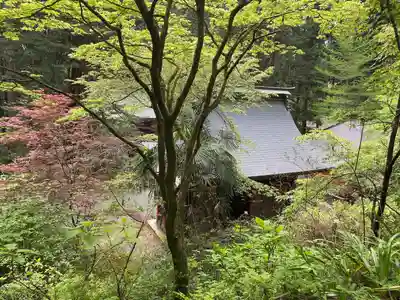 花園神社(茨城県)