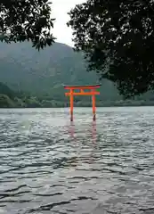 箱根神社の鳥居