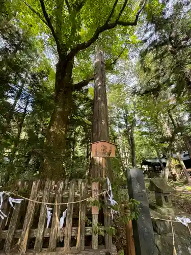 小野神社(長野県)