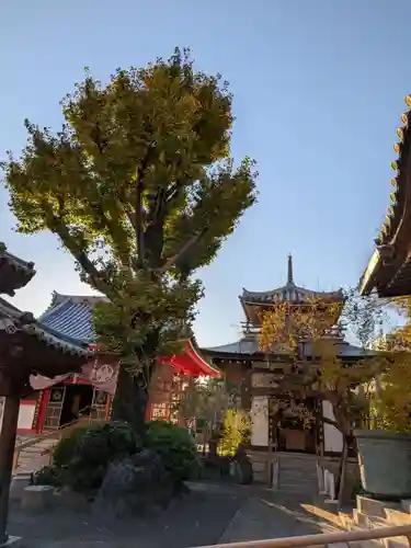 成願寺(東京都)