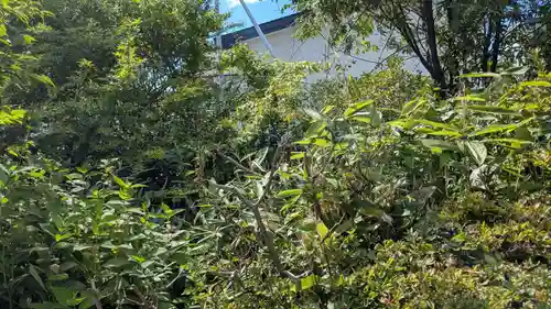 正一位出世 稲荷大明神の自然