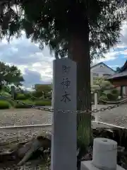 富永神社の自然