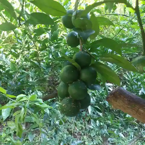 持正院(徳島県)
