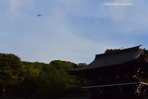 明治神宮(東京都)