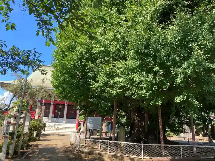 千葉寺(千葉県)