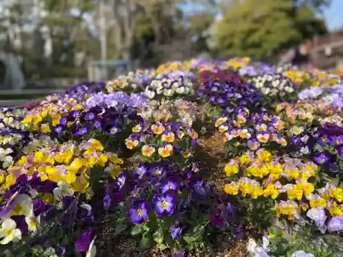 西新井大師総持寺の自然