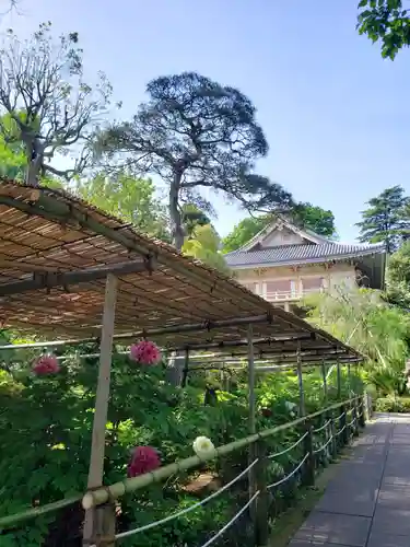 東長谷寺　薬王院の自然