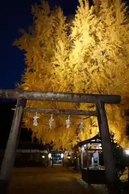 丹生酒殿神社の鳥居
