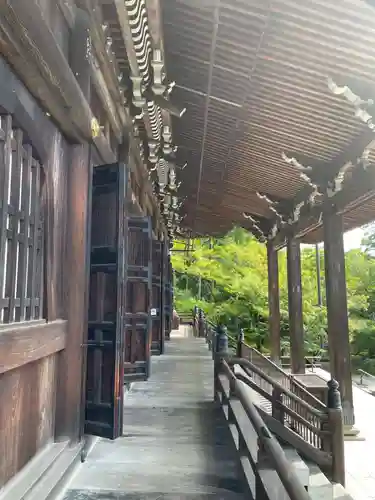 禅林寺（永観堂）(京都府)