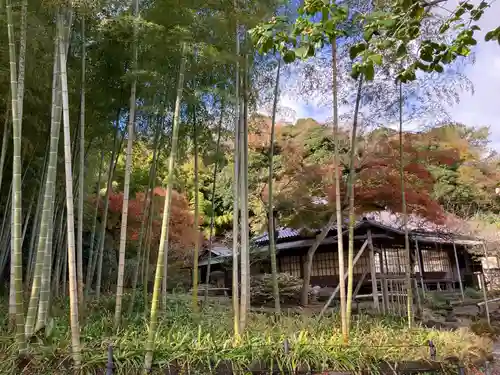 英勝寺(神奈川県)