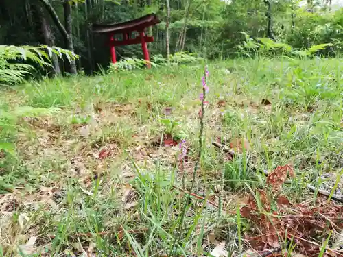 八幡神社(福島県)