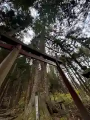 龍興山神社(青森県)