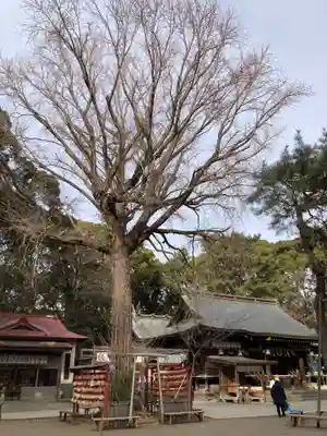 平塚八幡宮(神奈川県)