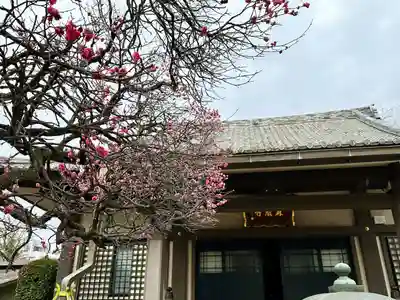 森巌寺(東京都)