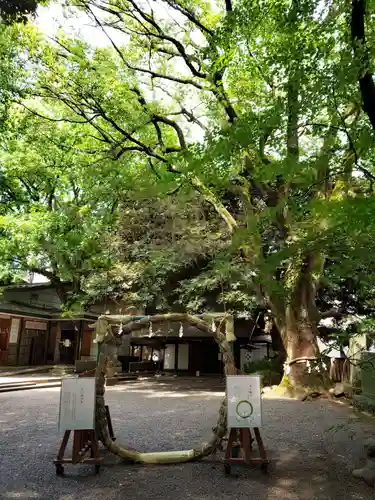 乃木神社(東京都)