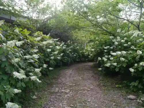 東勝寺宗吾霊堂の自然