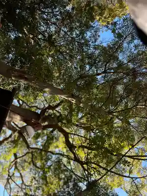 大宮・大原神社(千葉県)