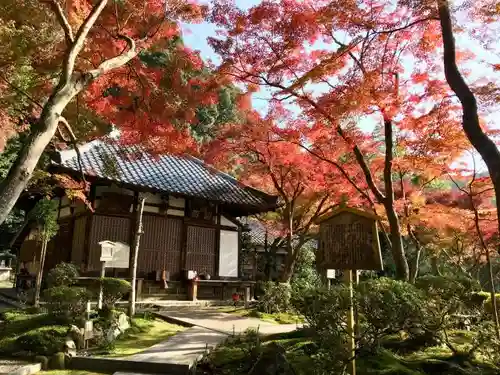 清閑寺の庭園