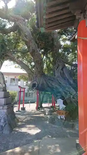 高塚熊野神社の庭園