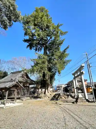八幡神社(滋賀県)