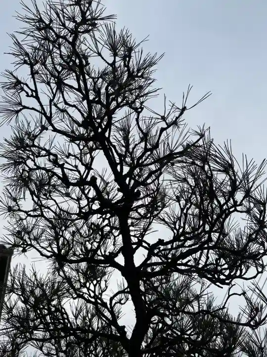 西方山極楽寺(岐阜県)