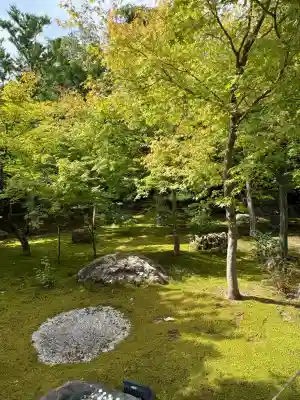 勝林寺(京都府)