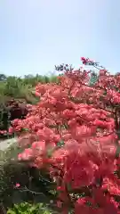 相馬神社の庭園