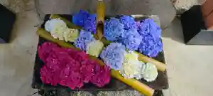 差出磯大嶽山神社 仕事と健康と厄よけの神さま(山梨県)(2022年06月26日(日) 10時16分05秒投稿)