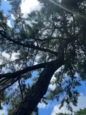 建部大社の自然