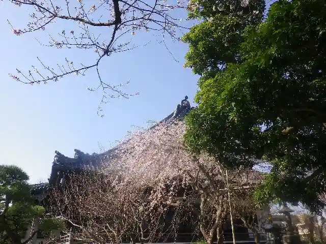 本覚寺の本殿・本堂