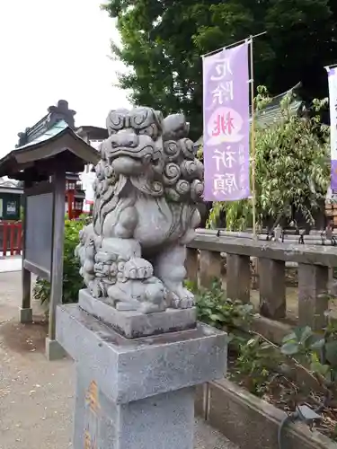 川越八幡宮の狛犬