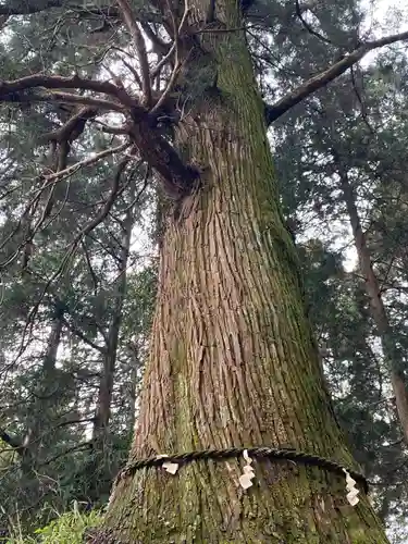村山浅間神社(静岡県)