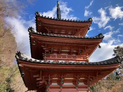 三室戸寺(京都府)
