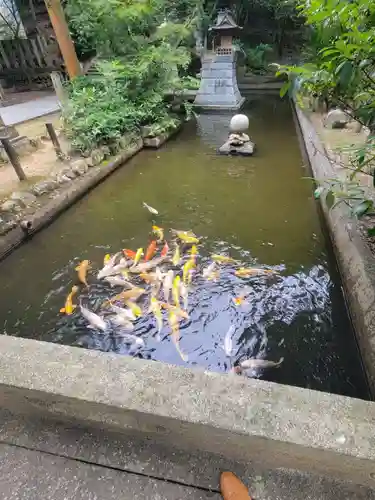 石鎚神社 口之宮 本社(愛媛県)