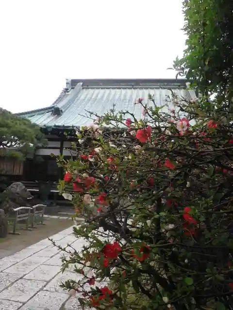九品寺(神奈川県)
