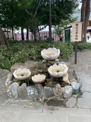櫻木神社(千葉県)
