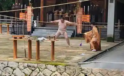 大山祇神社(愛媛県)