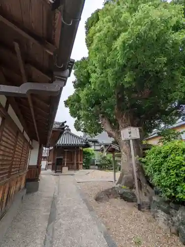 恋塚浄禅寺(京都府)