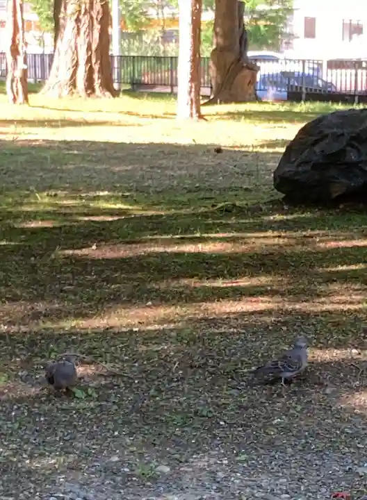 北広島市総鎮守 廣島神社の動物