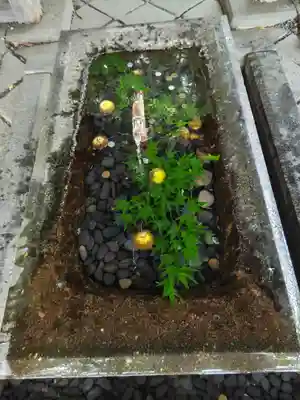 熊野大社(山形県)