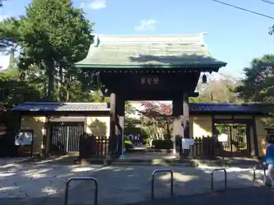 豪徳寺の山門・神門