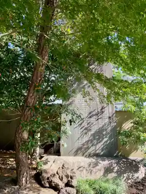 祥雲寺(東京都)