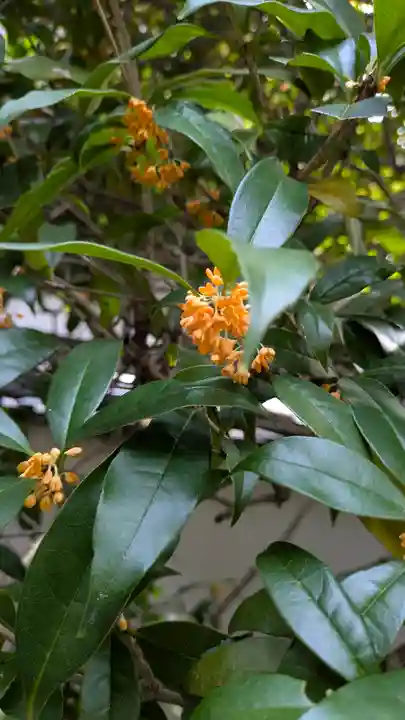 大心院(京都府)