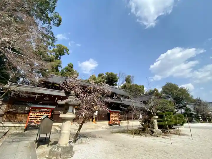 今宮神社(京都府)