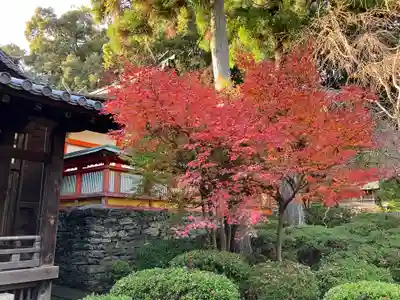野上八幡宮の自然