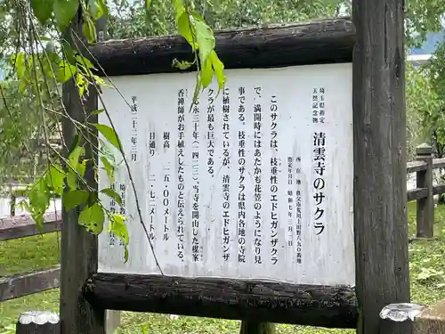 清雲寺(埼玉県)